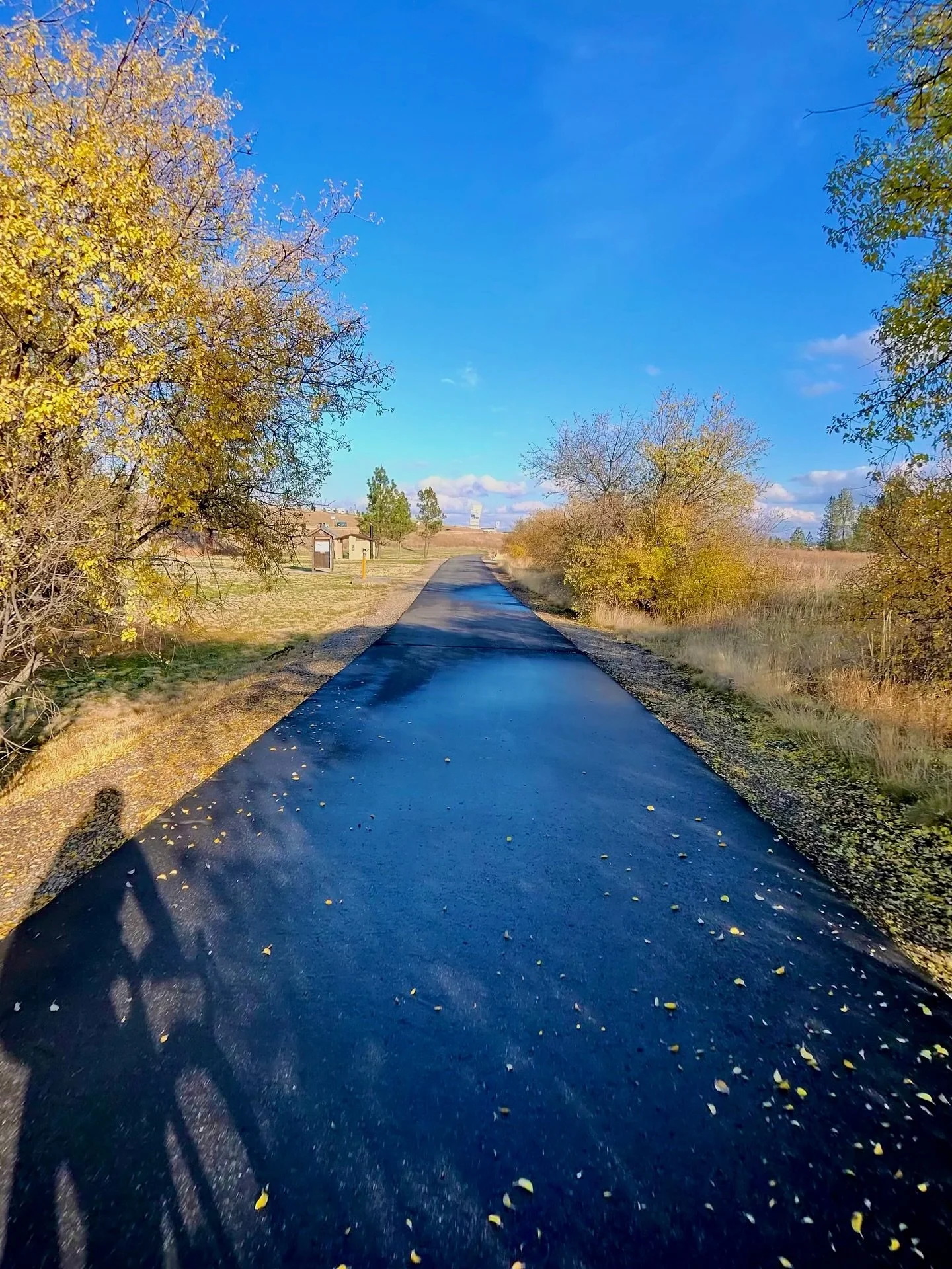 November rides in between the November rain.