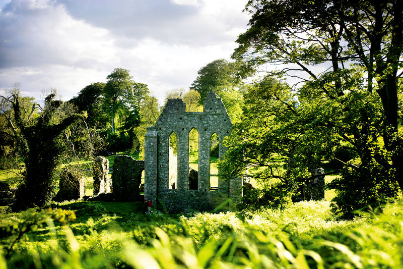 PIC-Inch Abbey.jpg