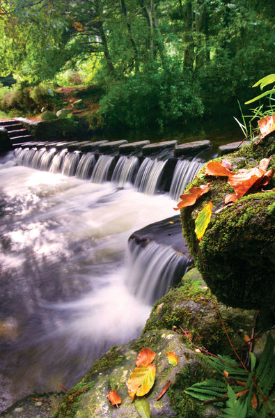 PIC-Tollymore Park (3).jpg
