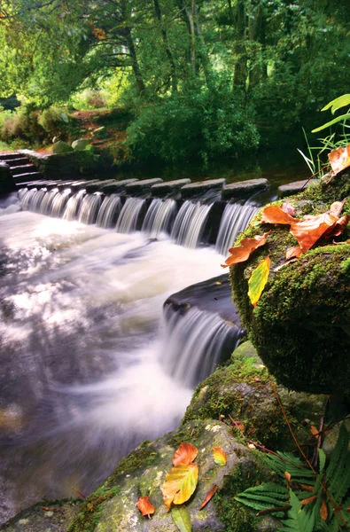 PIC-Tollymore Park (3).jpg