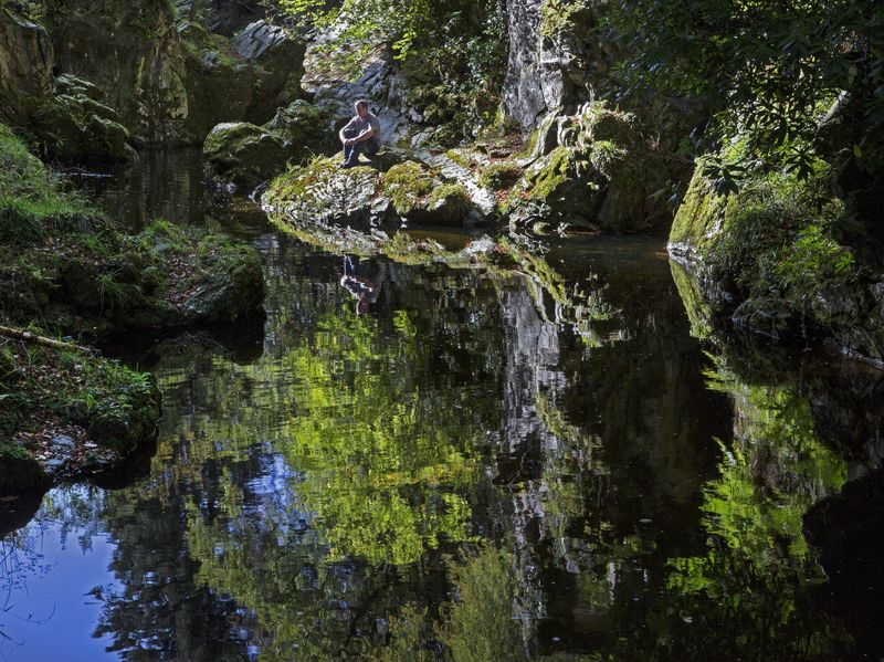 PIC-Tollymore Park (4).jpg