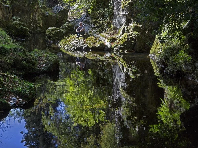 PIC-Tollymore Park (4).jpg