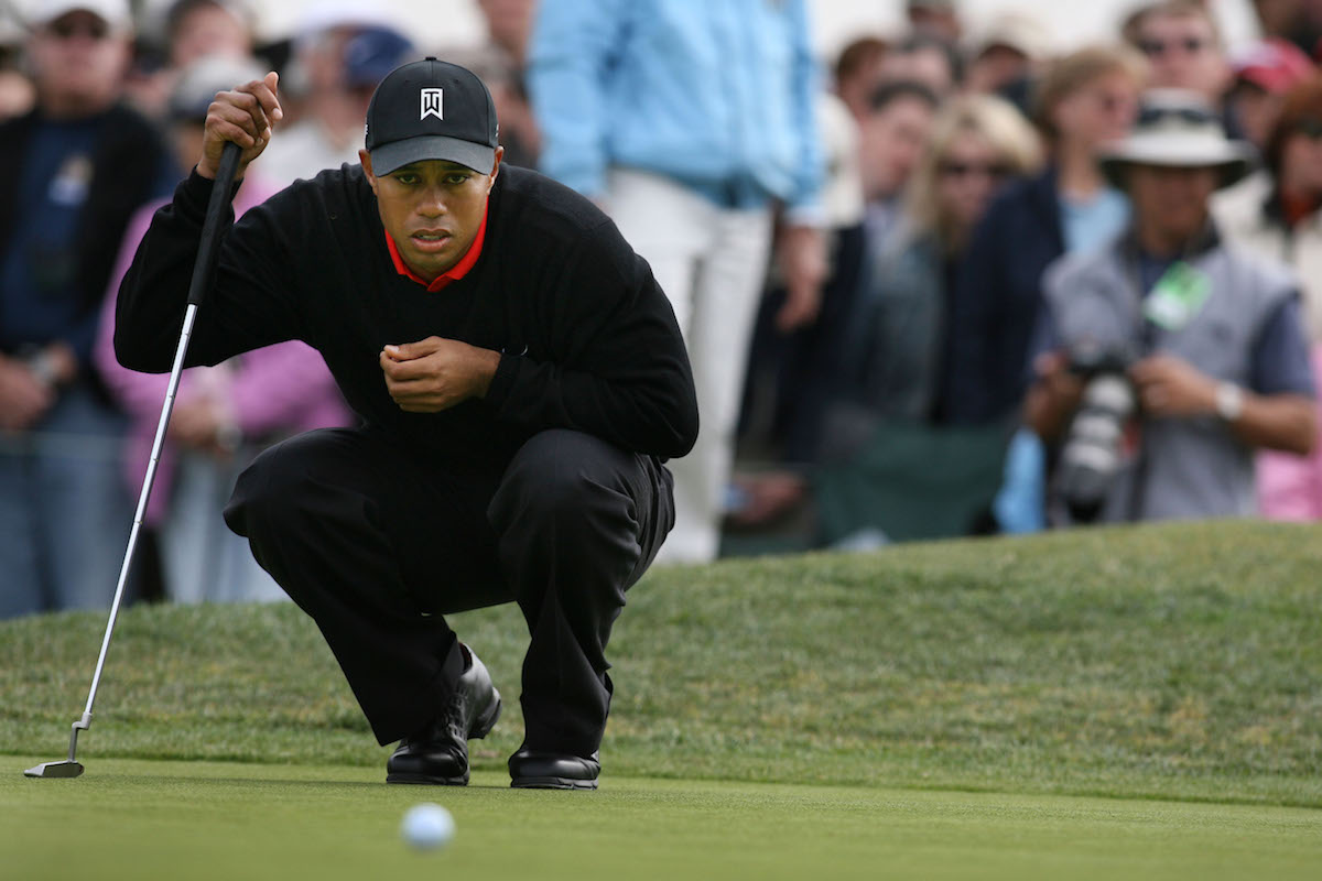 PIC-Tiger.jpg