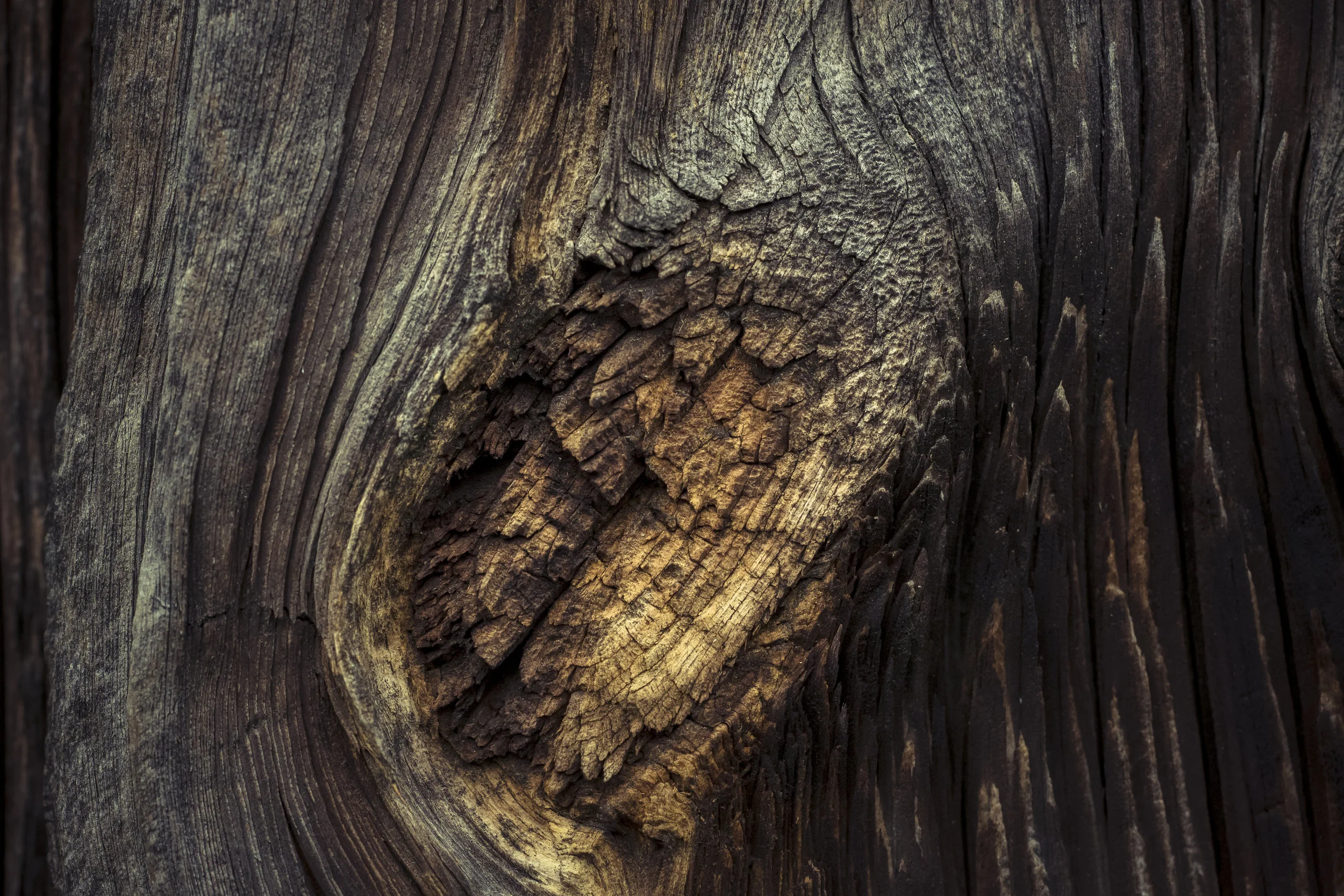 Transient