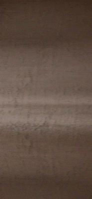 MACO0142_CowParrot_8sec.gif