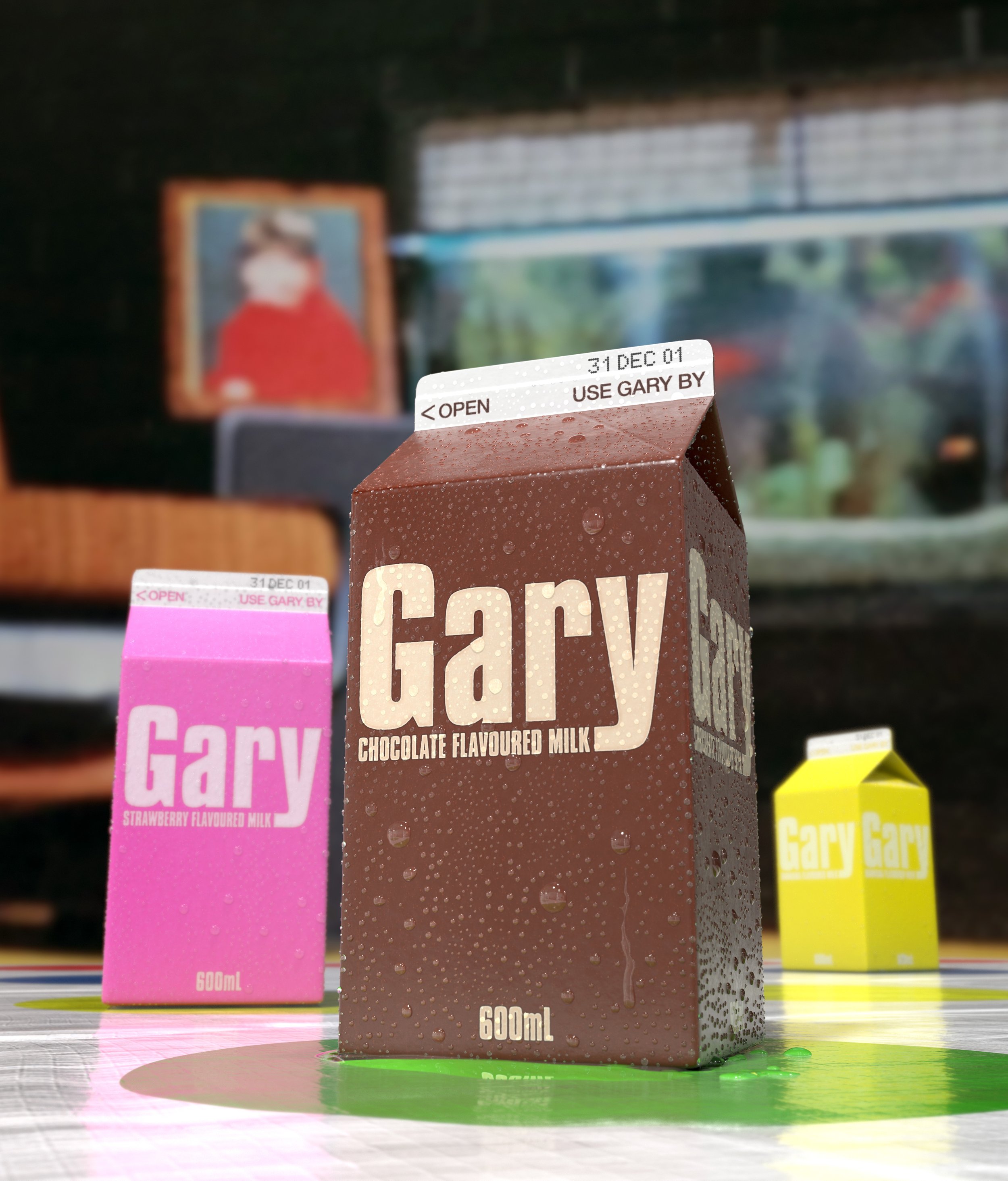 GARY 600ml Carton Hero.jpg