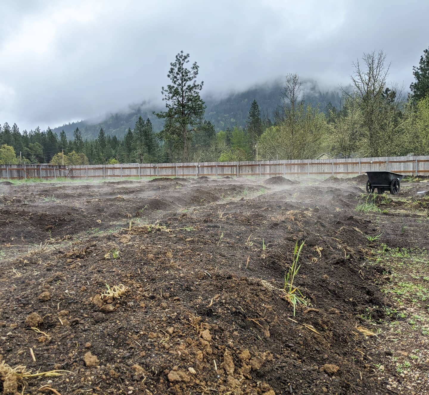 #TBT to those very first days of row shaping and soil amendments...we've got a little more infrastructure out there now, but still gotta put in the time to get down and dirty in that rich, beautiful earth 🌱🌱🌱
.
.
#groundupfarms #farmlife #keepyour