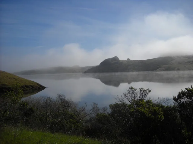 DSCN1625.jpg