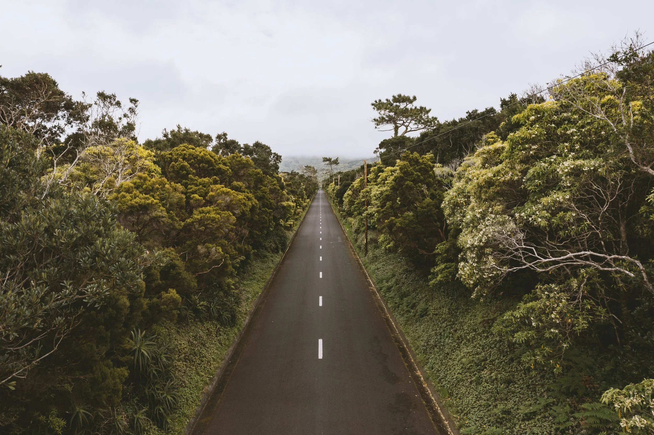 Ricardo_Lopes_Azores-14.jpg
