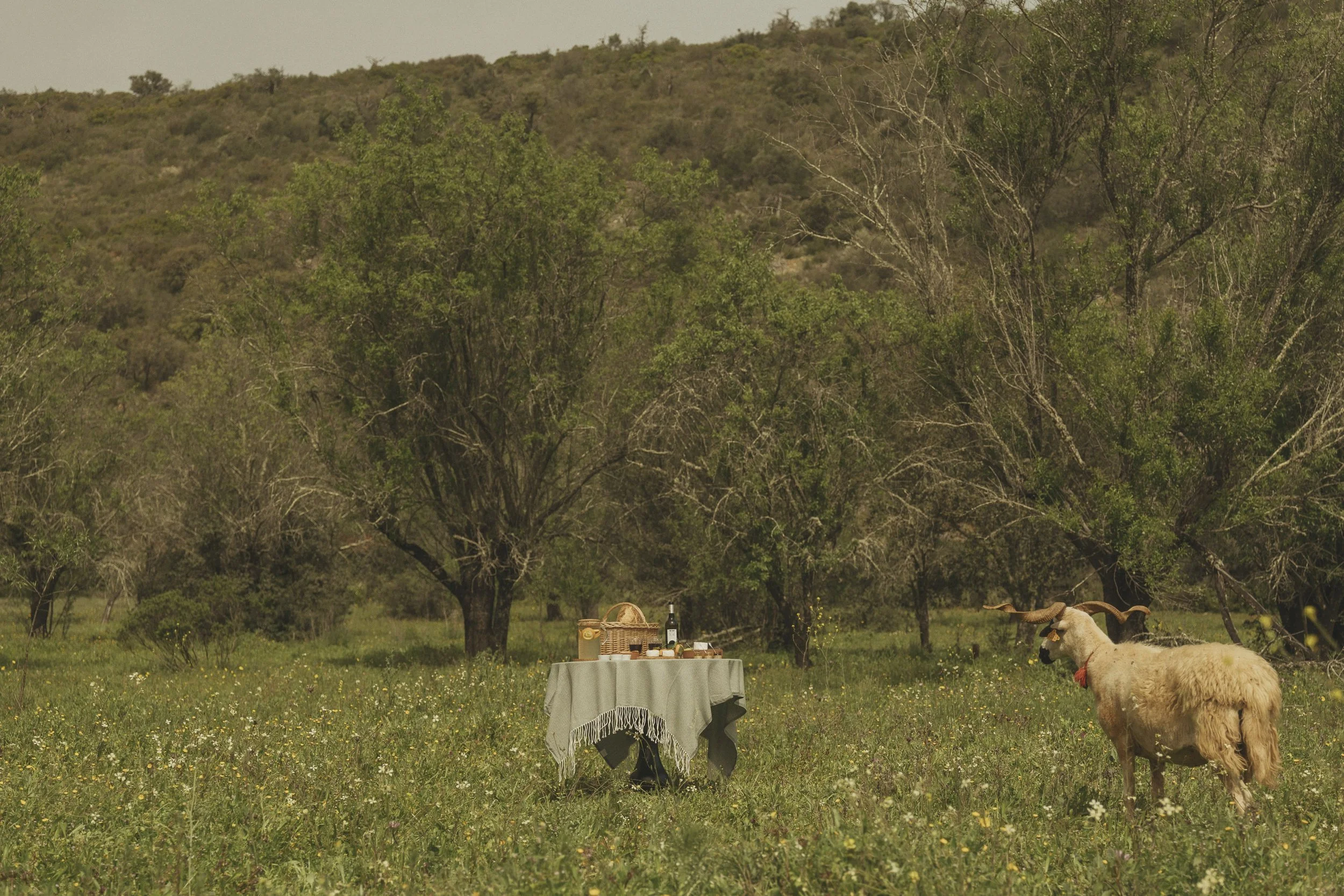 Viceroy Ombria Algarve Inland Life
