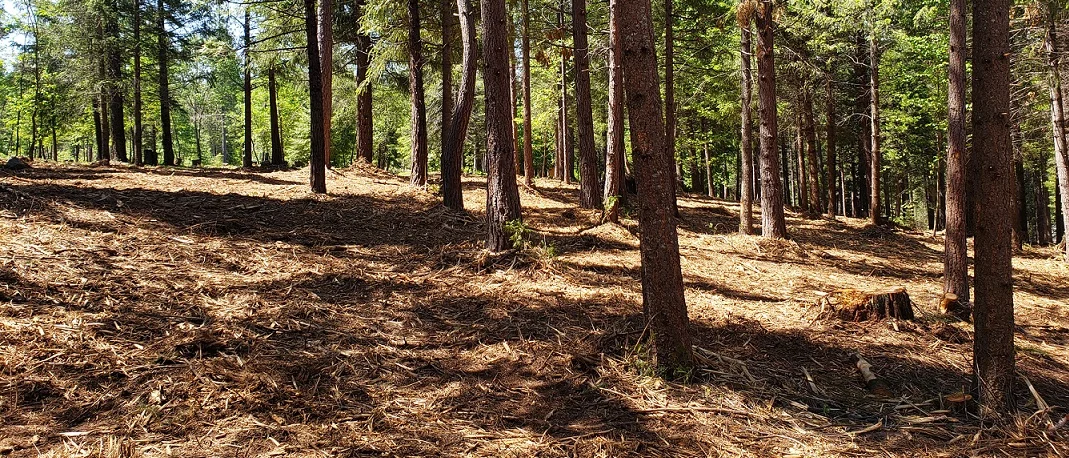 20190603_110802.jpg