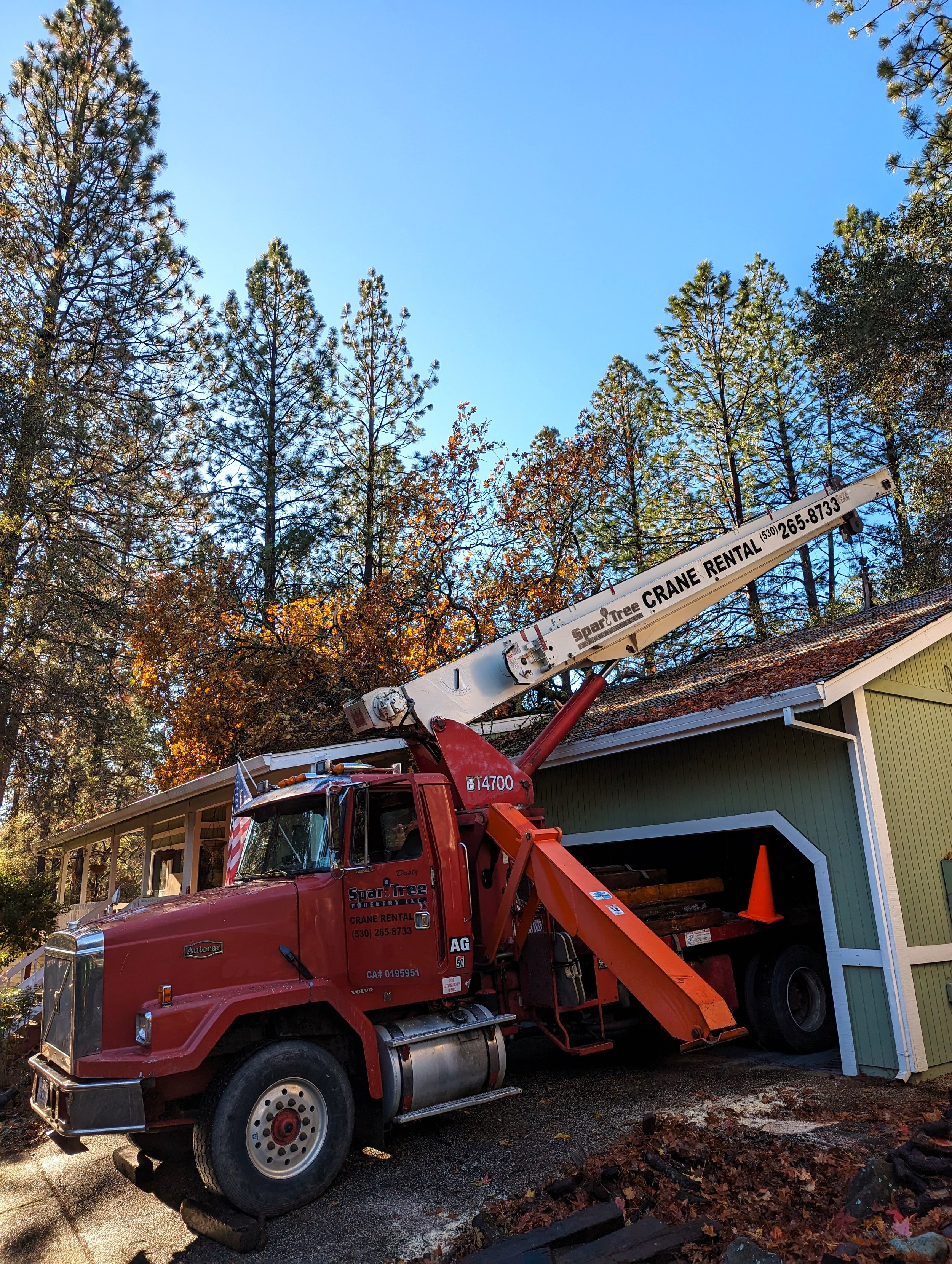 Hazard Tree Removal Storm Work Cleanup Lake Wildwood Crane .jpg