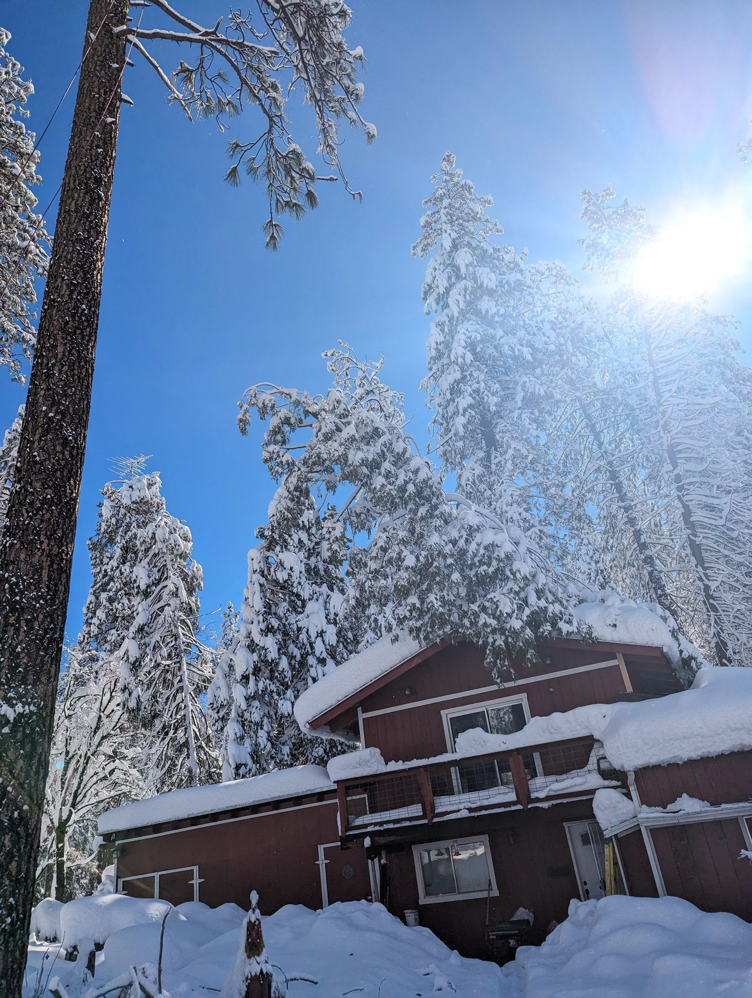 Emergency Storm Cleanup Hazard Tree Removal Grass Valley.jpg