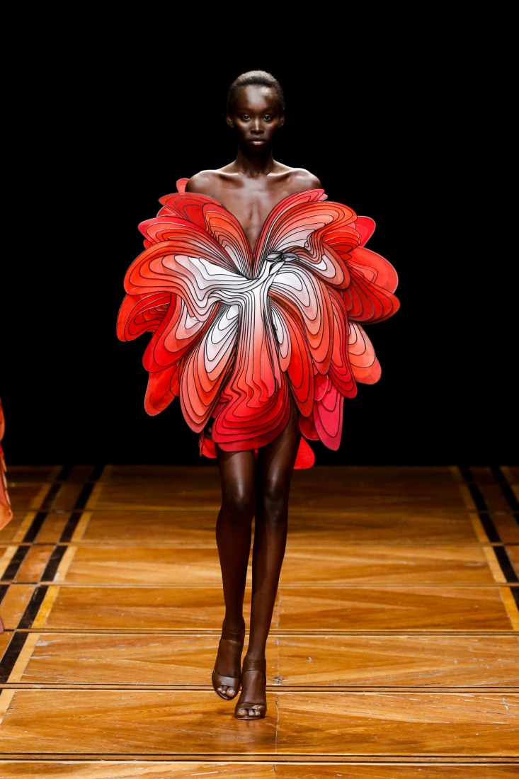 iris van herpen alexander mcqueen