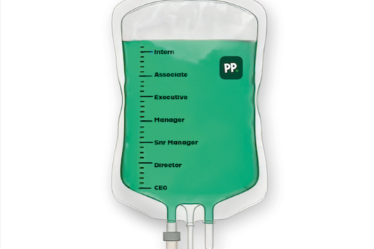 PP Grad Programme - Like Steroids for your Career