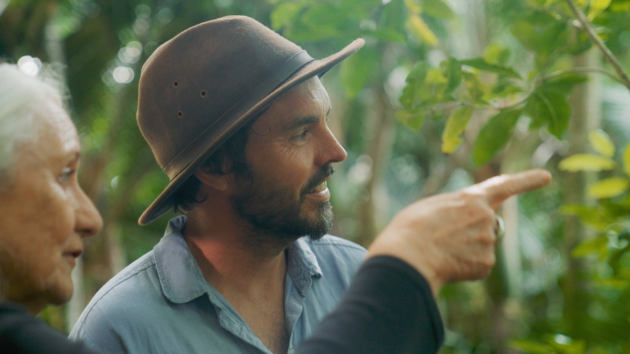 The Himii Legacy (Not for public viewing - Please do not share)