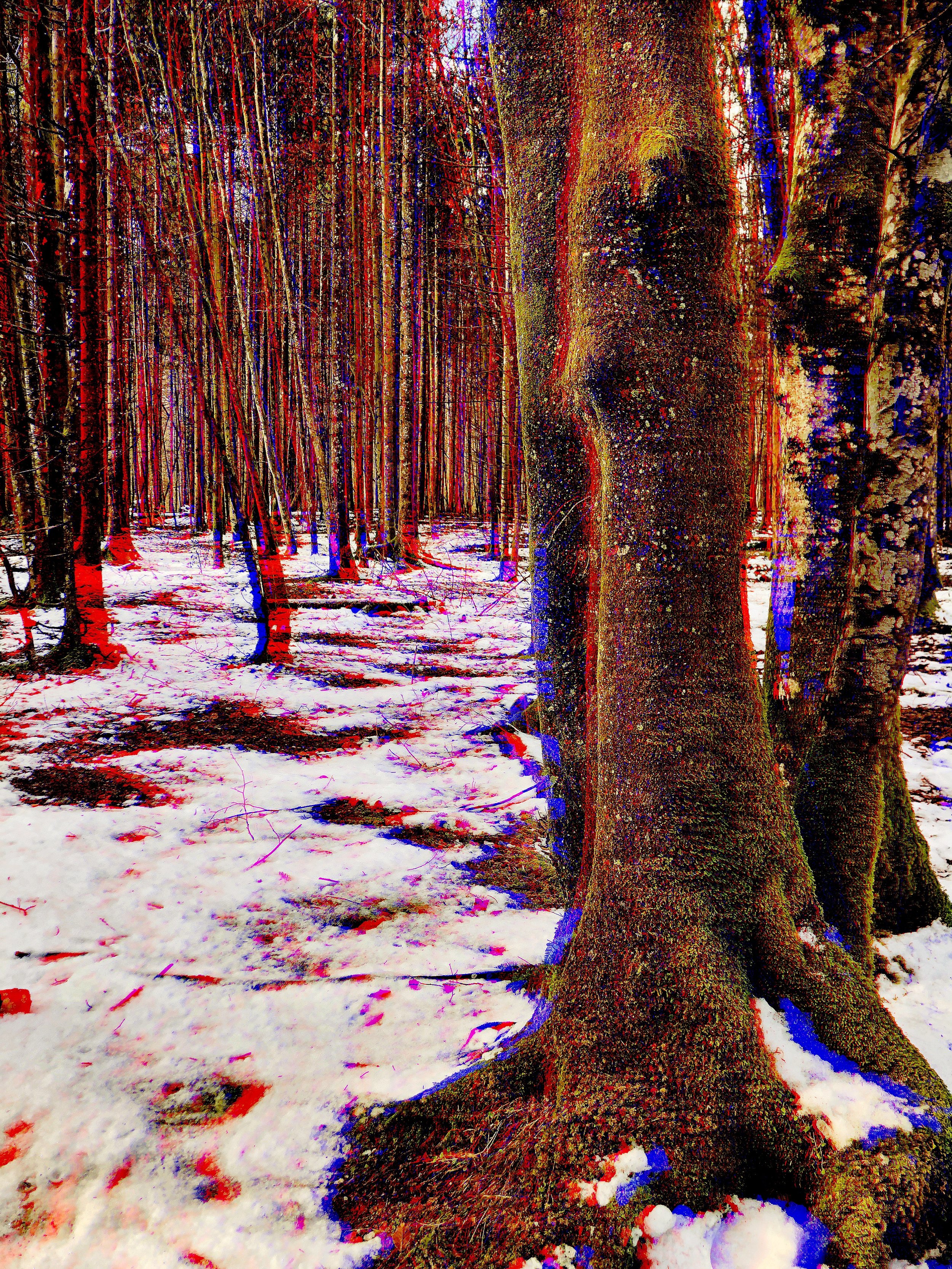 konigsee_2_mm.jpg