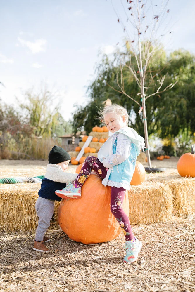 The Best Pumpkin Patches Near Bend, Oregon — Bailey Makaimoku