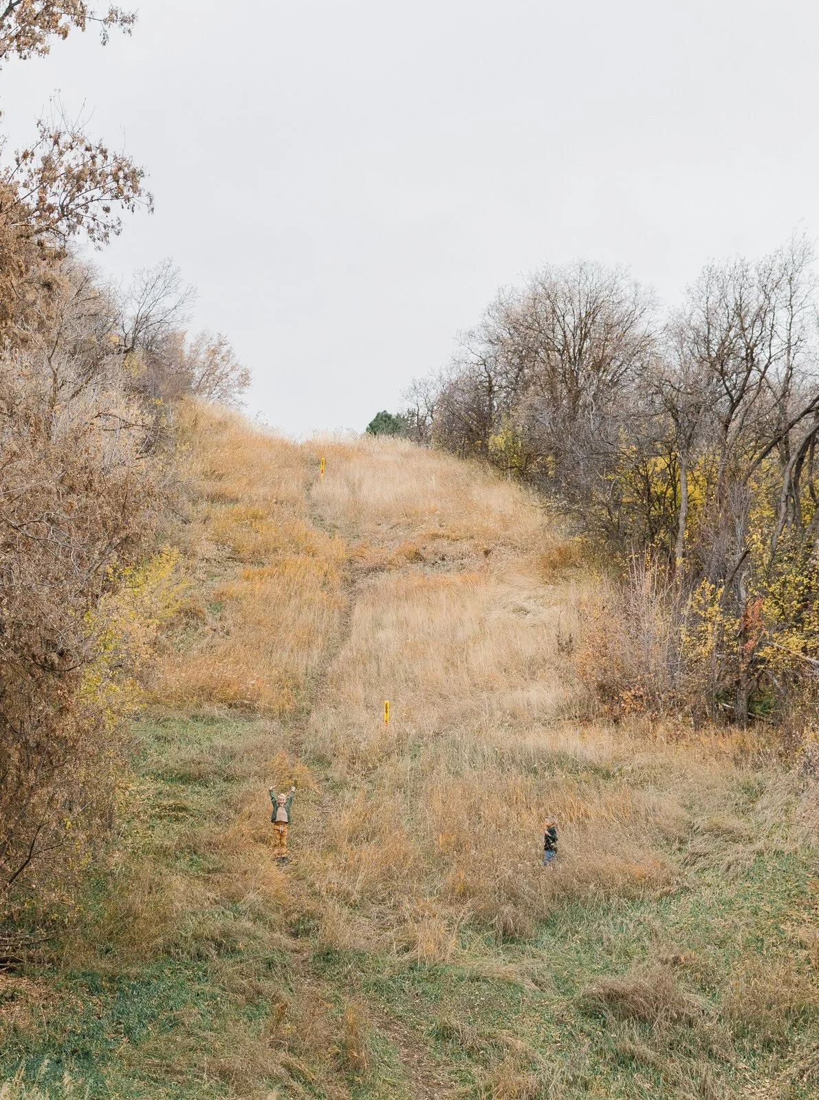 Layton Utah Family Photographer- Kays Creek in Layton, UT- Posing Ideas for a family of six