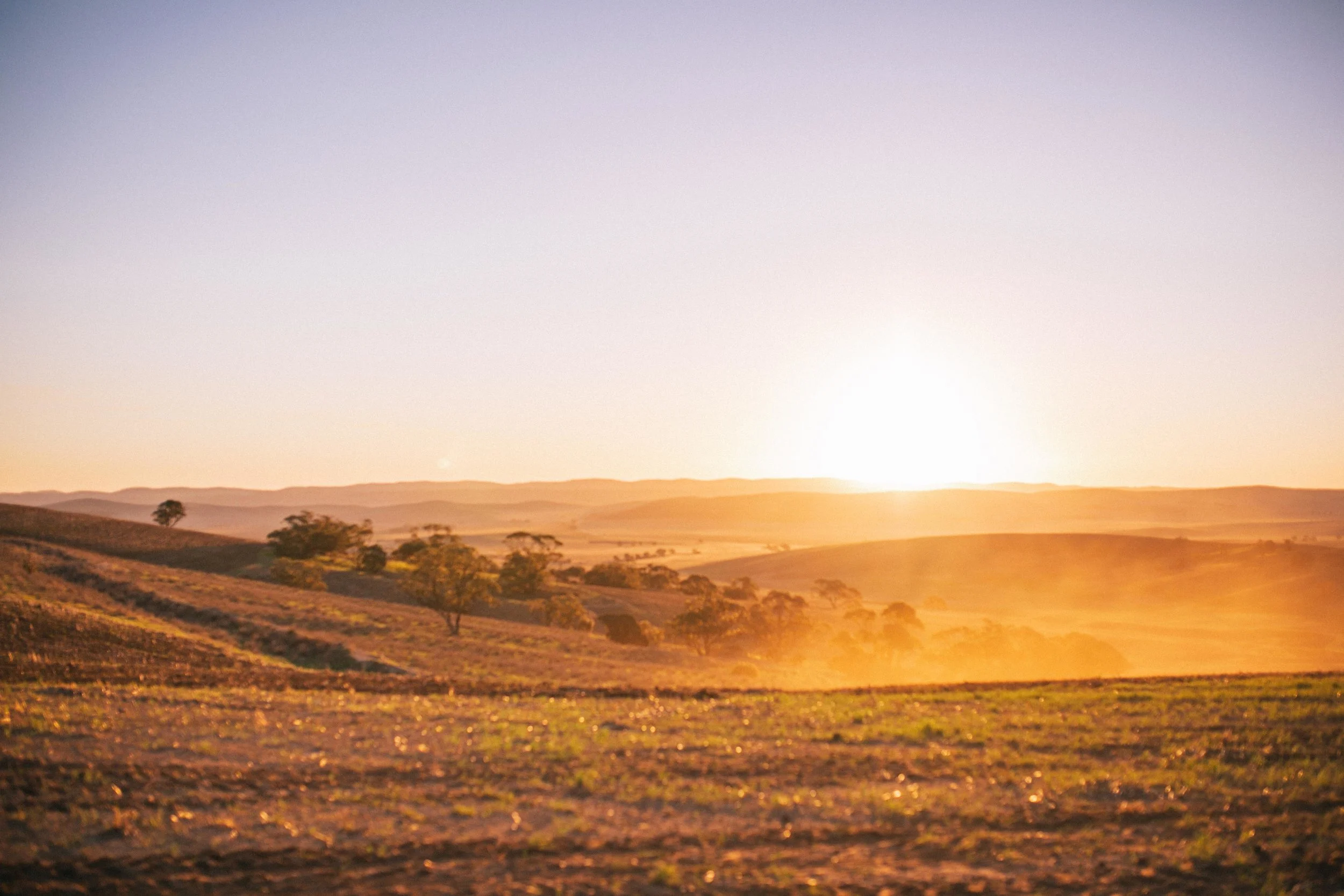 Seeding2018-453.jpg