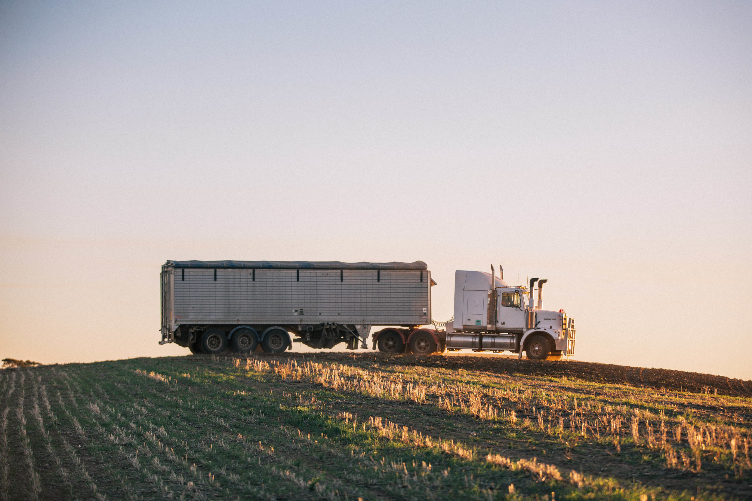Seeding2018-439.jpg