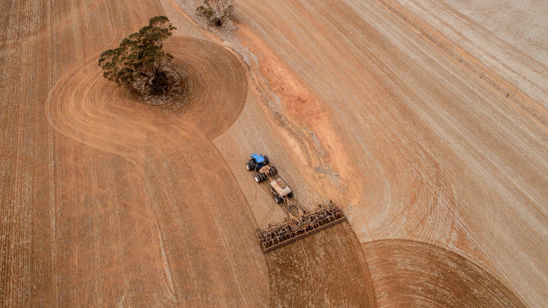 Seeding-Web-74.jpg