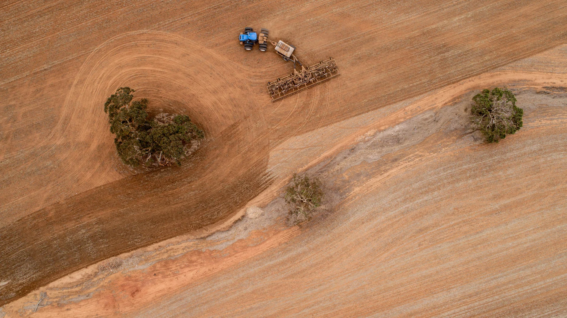 Seeding-Web-79.jpg