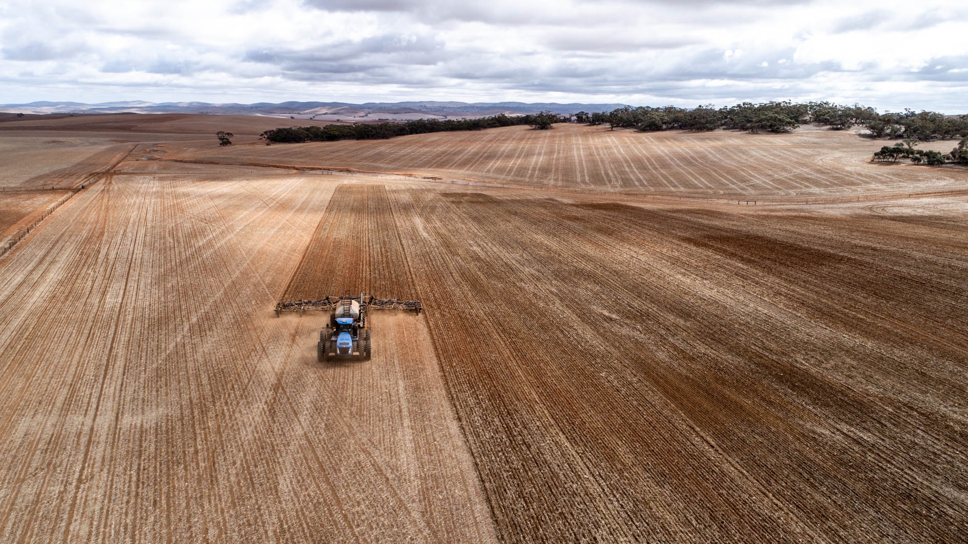 Seeding-Web-109.jpg