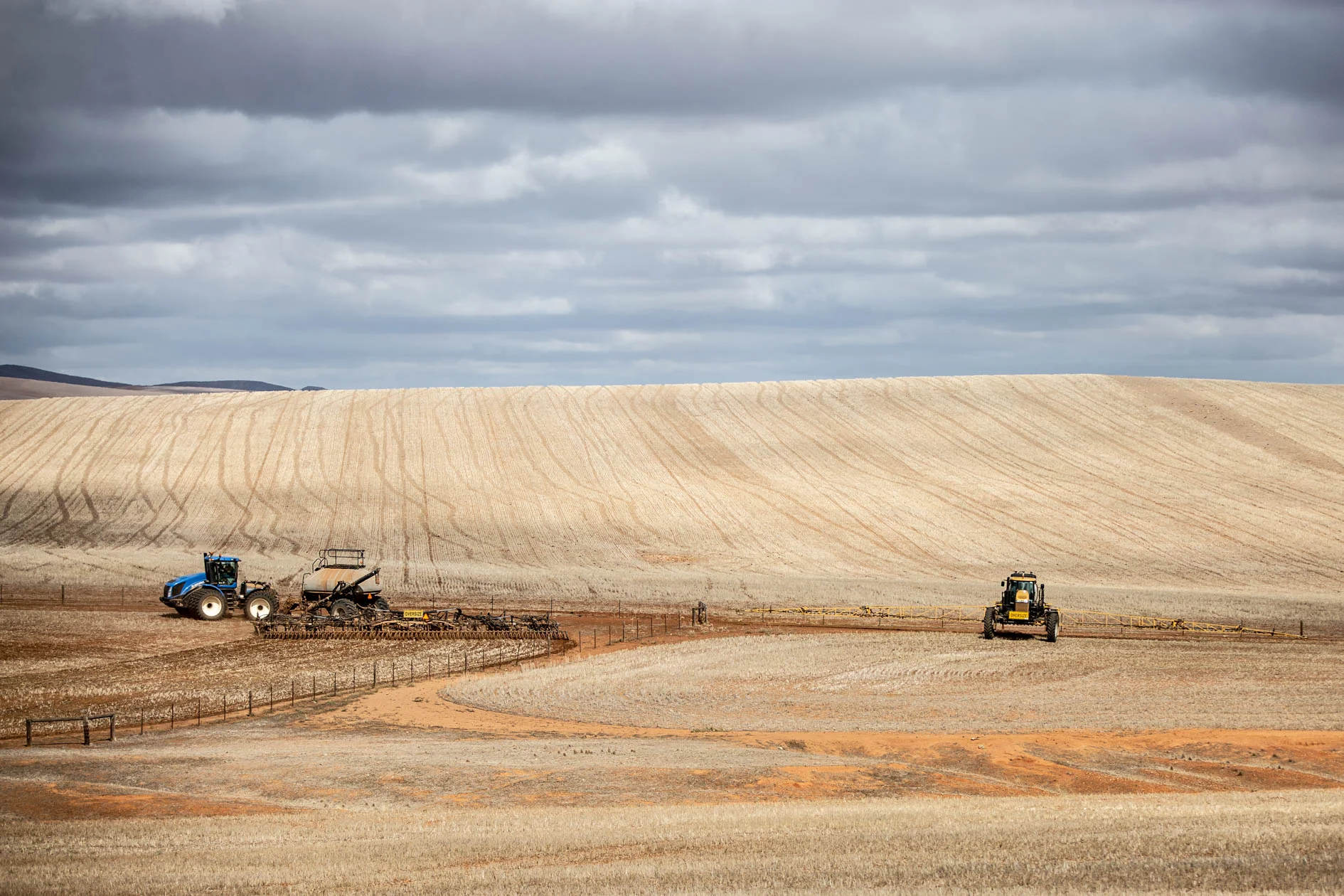 Seeding-Web-151.jpg