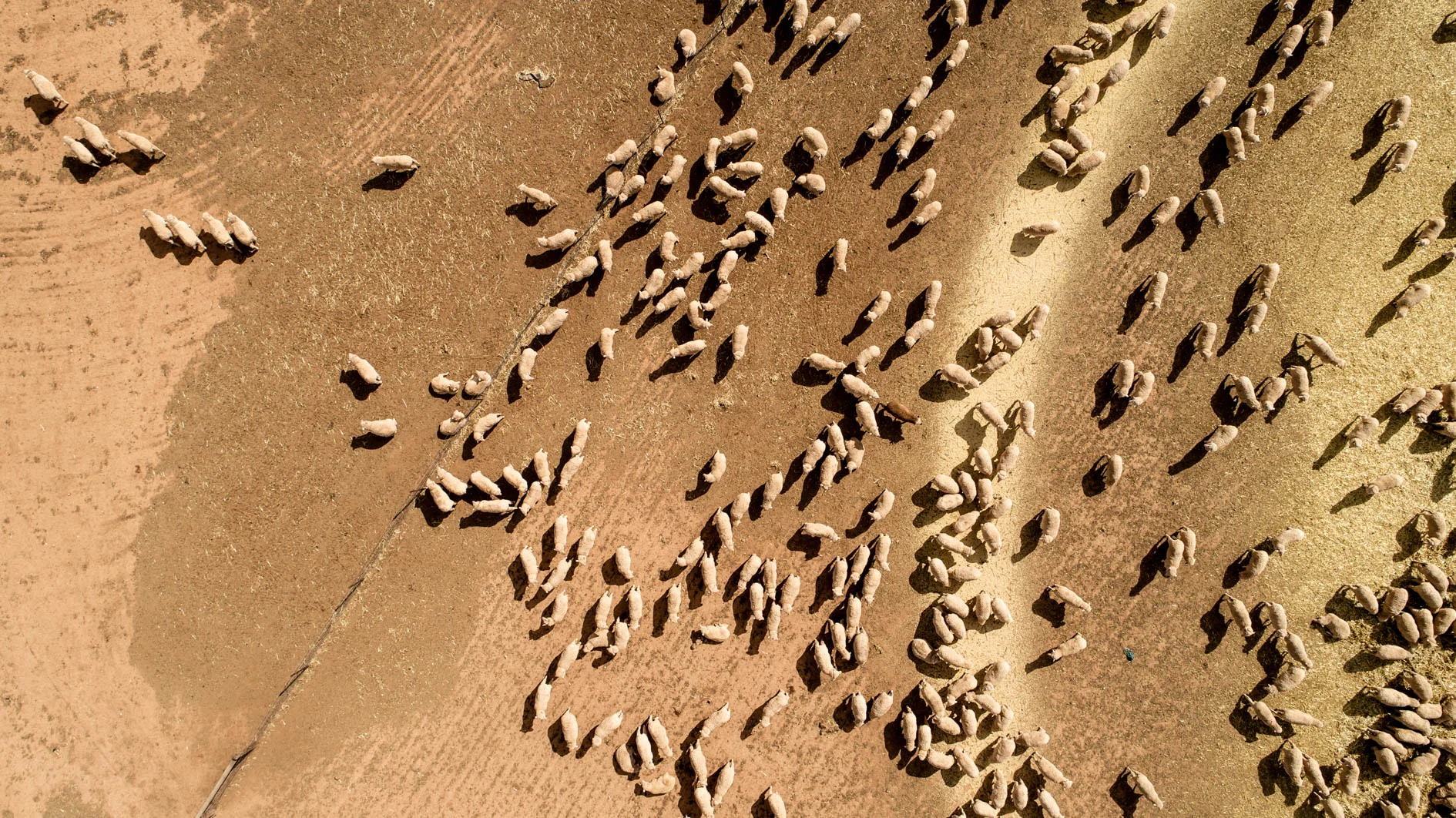 Birdseye View