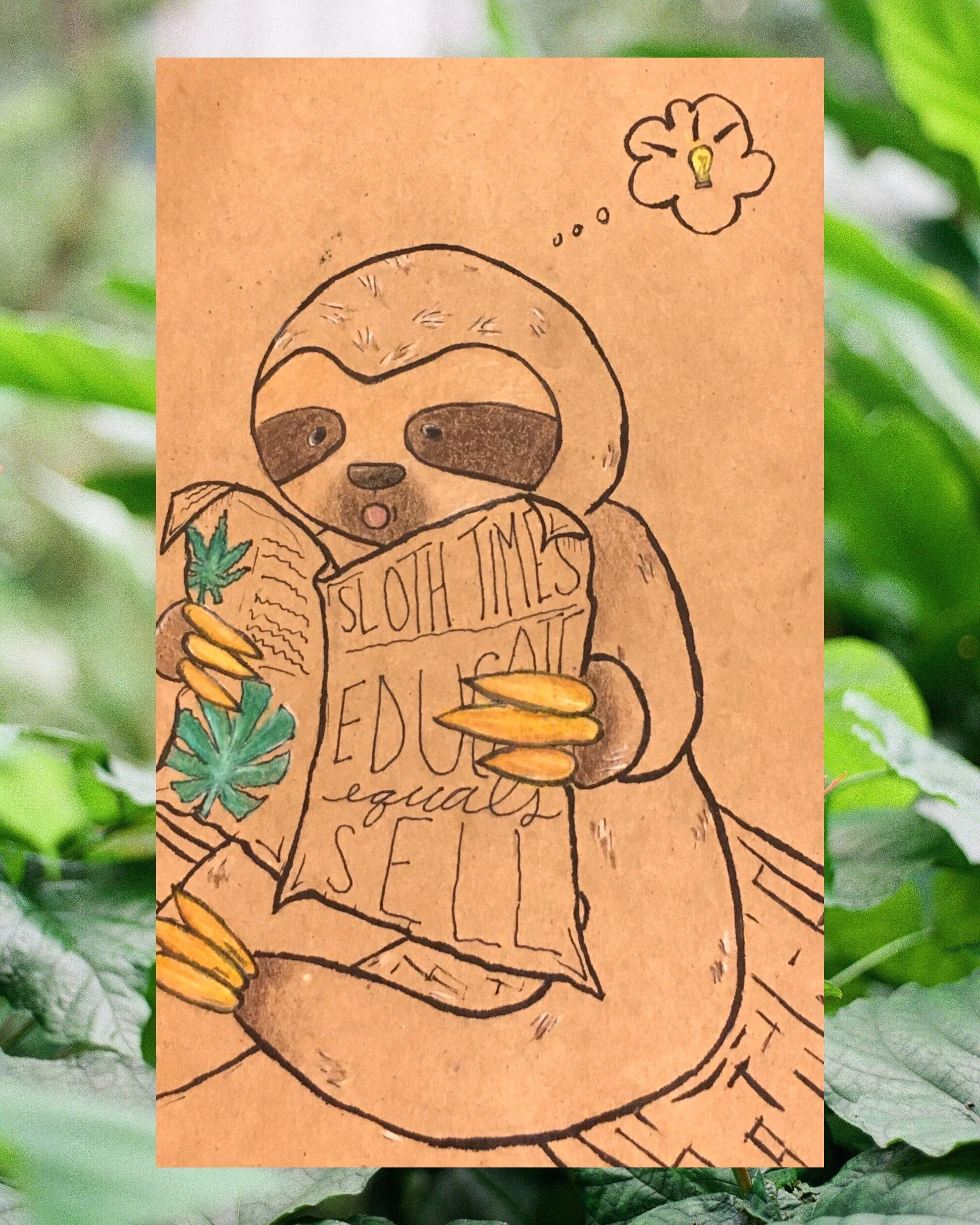 Cannabis Marketing Best Practices: Education