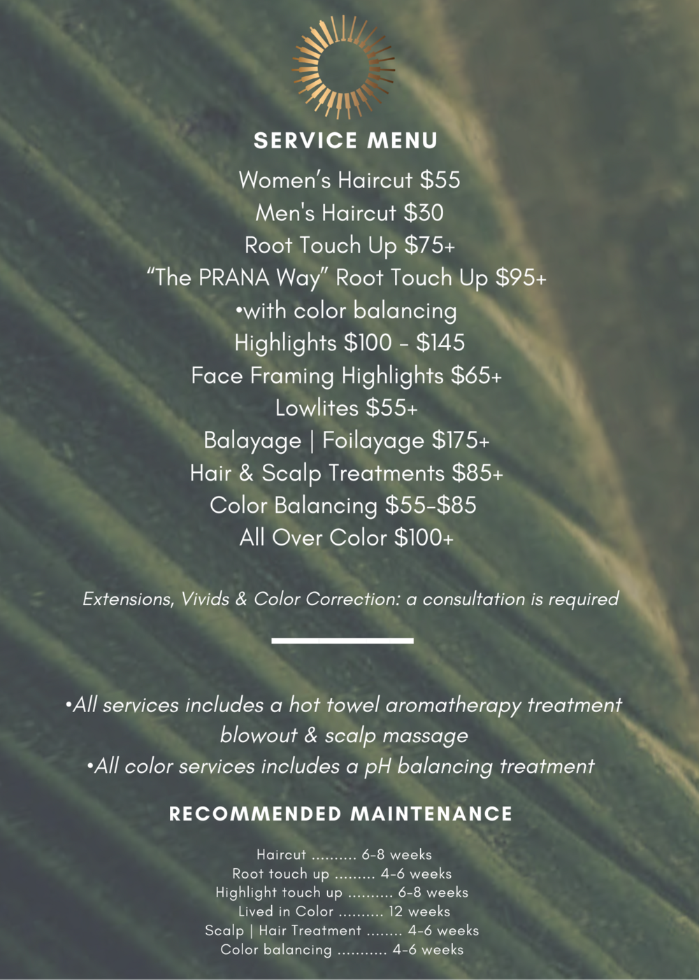 Services & Prices - Casa PRANA Vegan, Organic, Holistic, Sustainable Salon  & Spa | Wilmington, NC