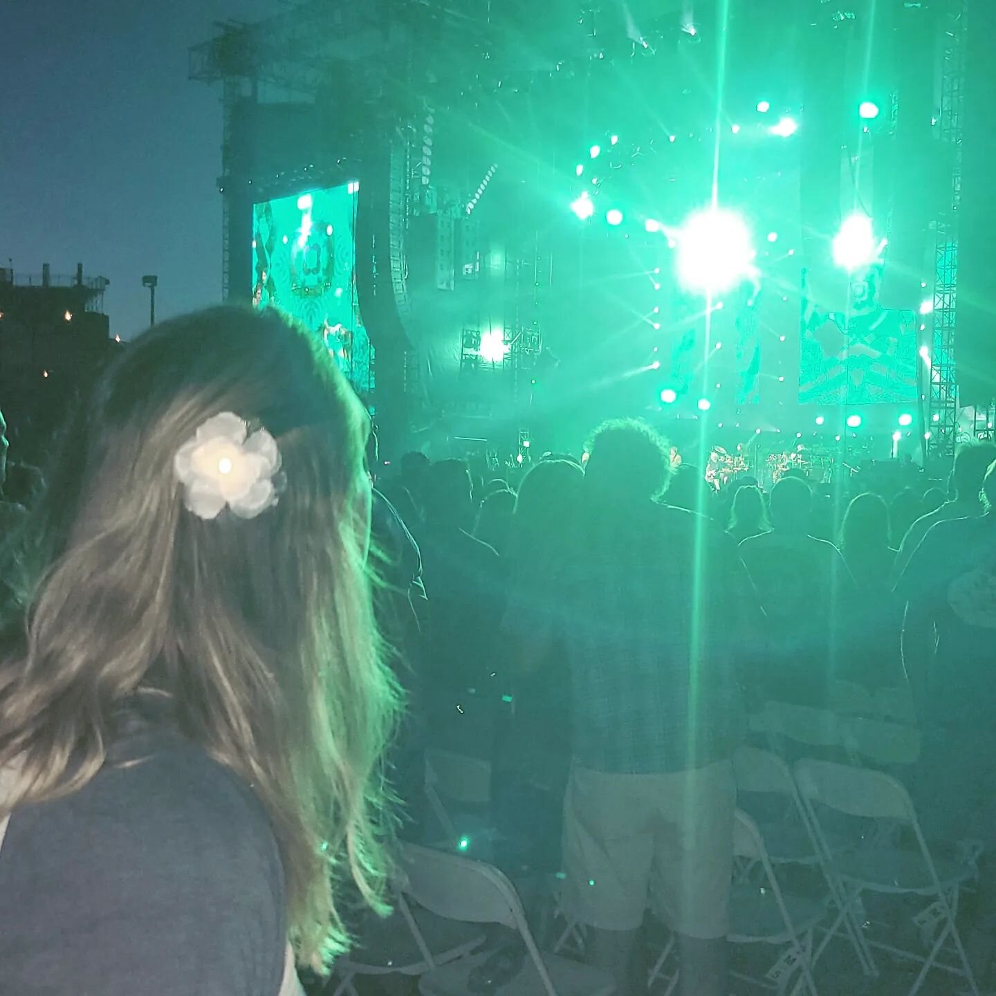 Don't forget your #zuzuflower when heading to a #summerconcert 

Available at Www.zuzuflowers.com in color changing or white

#lightupparty #concertaccessory #hairlights #flowersforhair #lightuprose #chicagoconcerts #hairflowers #summerconcertseries 