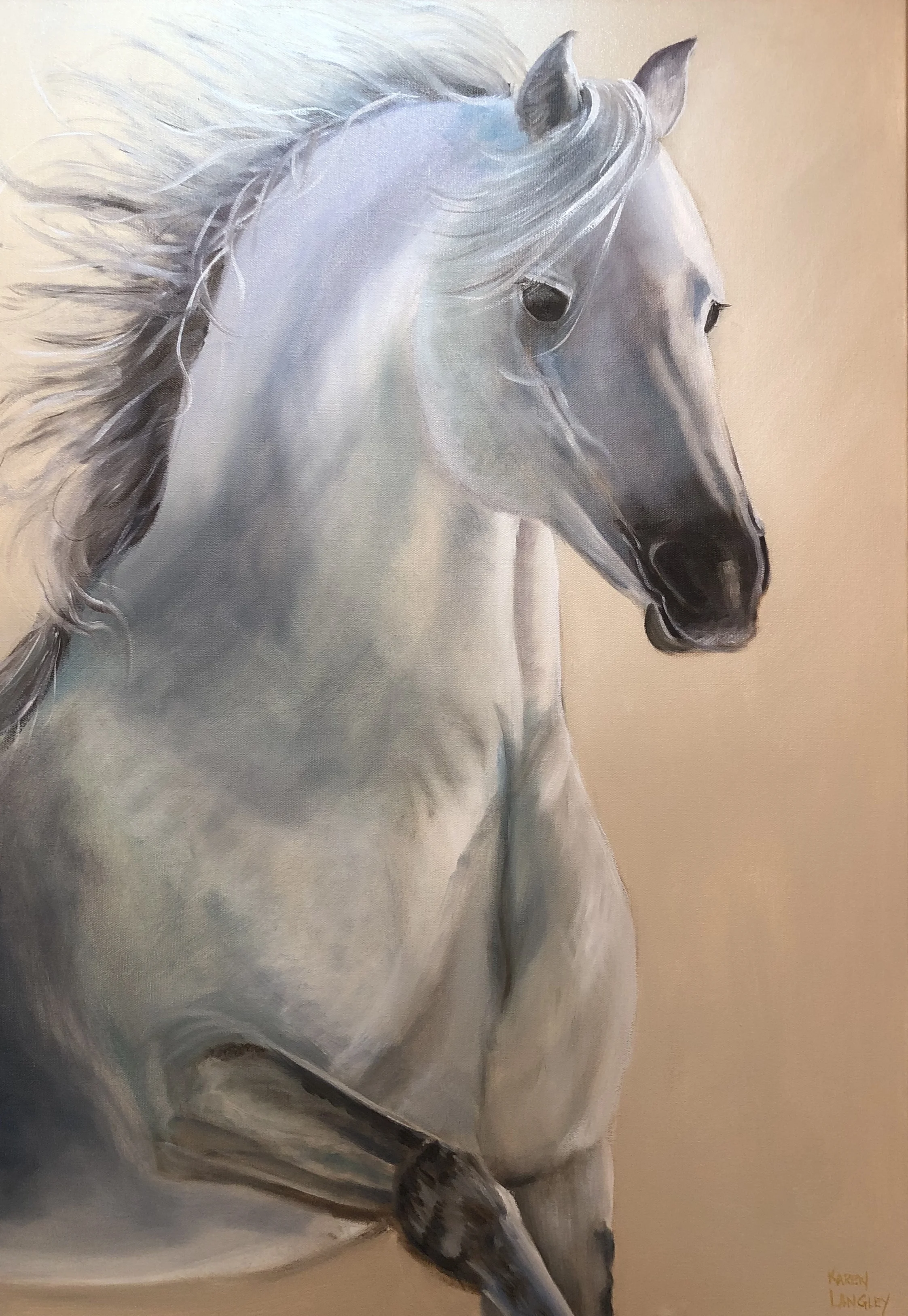 Wild Oil on Gallery Wrapped Canvas 24x36