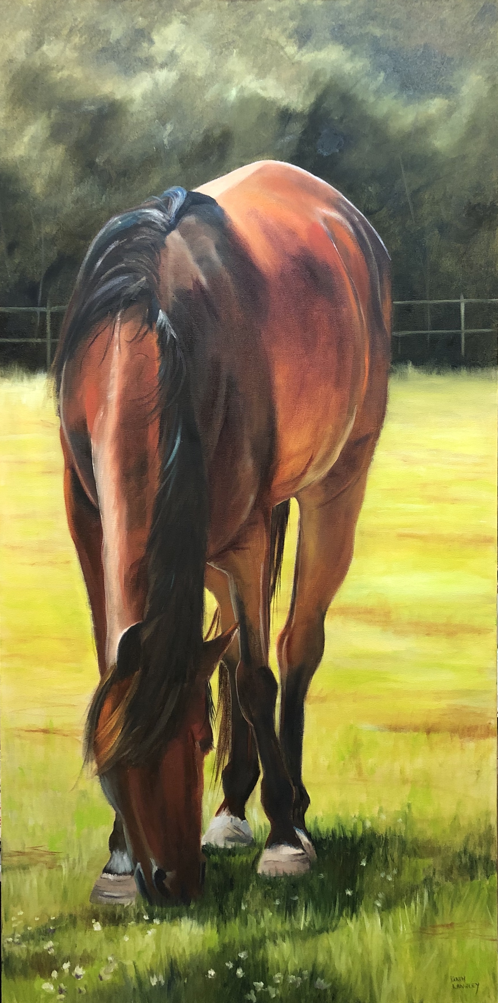 Grazing Oil on Gallery Wrapped Canvas 24x48