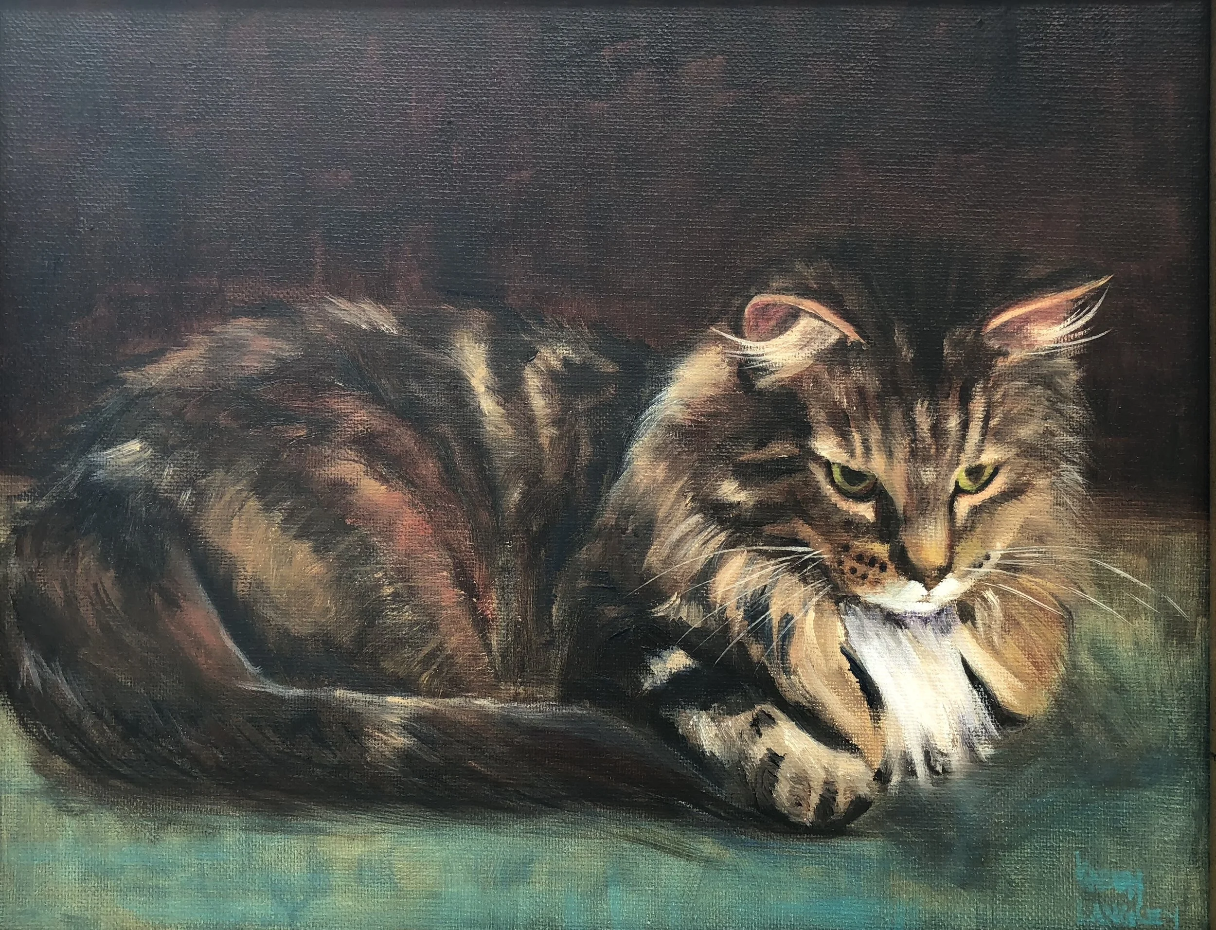 Daydreaming Tabby Oil on Linen 11x14
