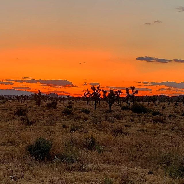 Watching the #sunset on another epic #joshuatree day.#dinner is ready and #star man Steve is preparing to take you on a journey through the #cosmos #perfectendings await you in #joshuatreenationalpark #joshuatreeexcursions #journeysnotdestinations #t