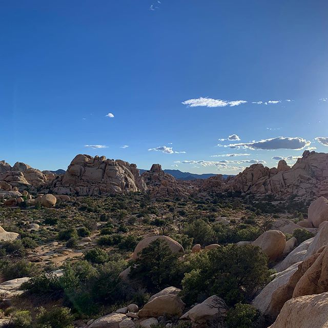 Taking in another perfect afternoon hike before dinner under the stars. #joshuatreeexcursions #journeysnotdestinations #joshuatreenationalpark #trailsarecliche #jtnp #socal #sunset