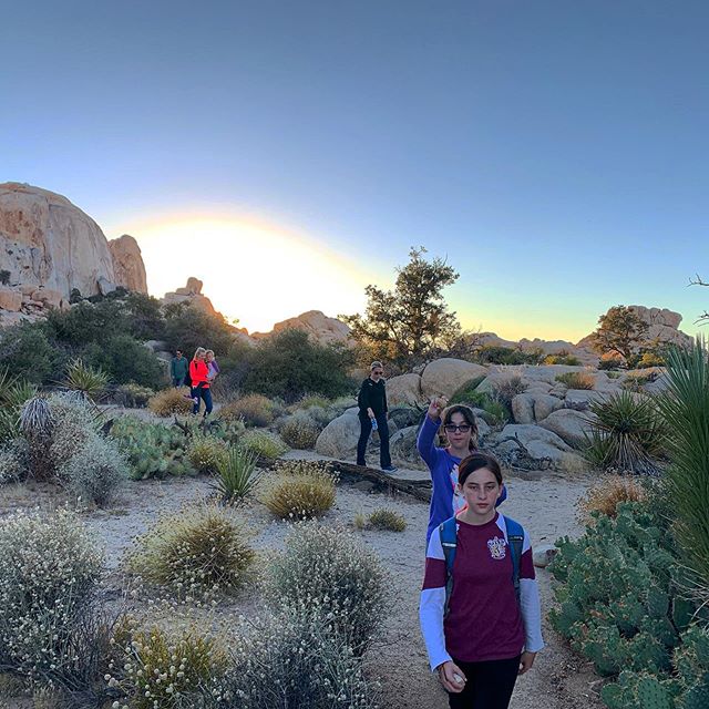 Another fantastic, family friendly sunset hike in #joshuatreenationalpark Now, down the #trail to dinner and an evening #underthestars #joshuatreeexcursions #journeysnotdestinations #trailsarecliche #socal #jtnp #mojavedesert #29trailtours