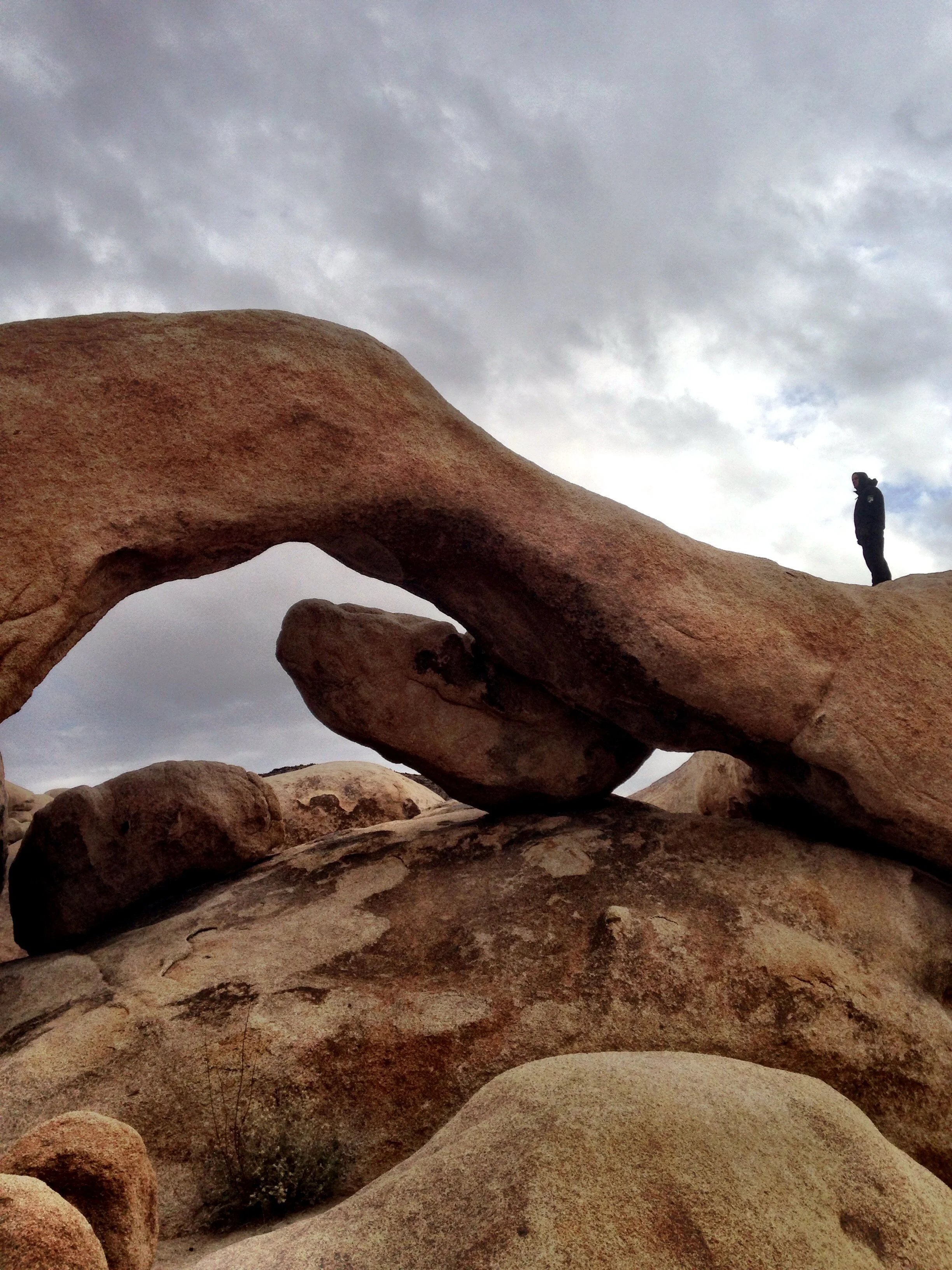 Our New Sightseeing Tour for the Explorer on a Time Crunch