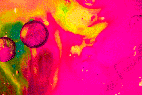 Tropical-500x333.gif