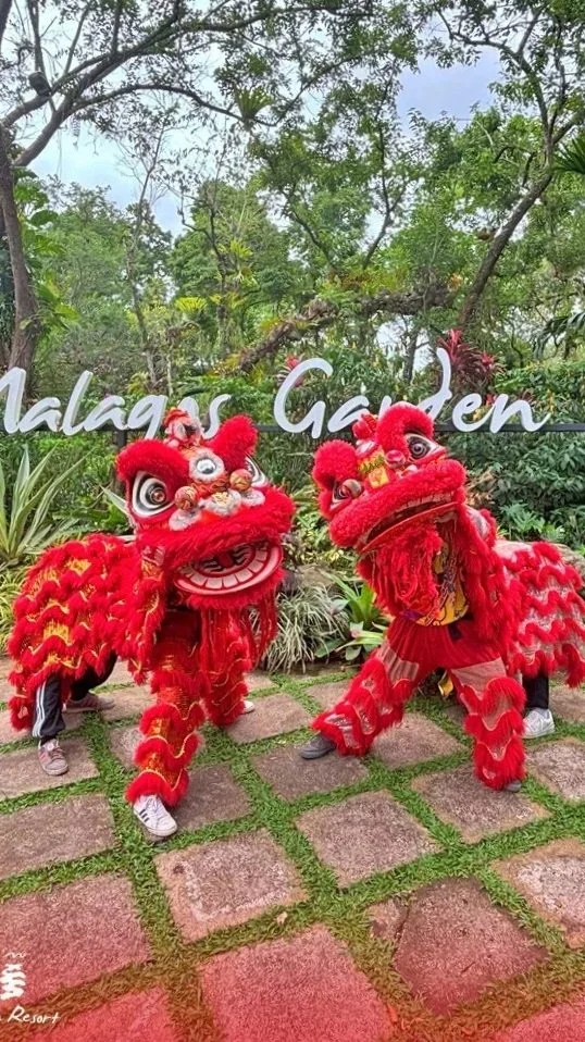 Gong Xi Fa Cai at Malagos Garden Resort: A Celebration of Prosperity and Joy