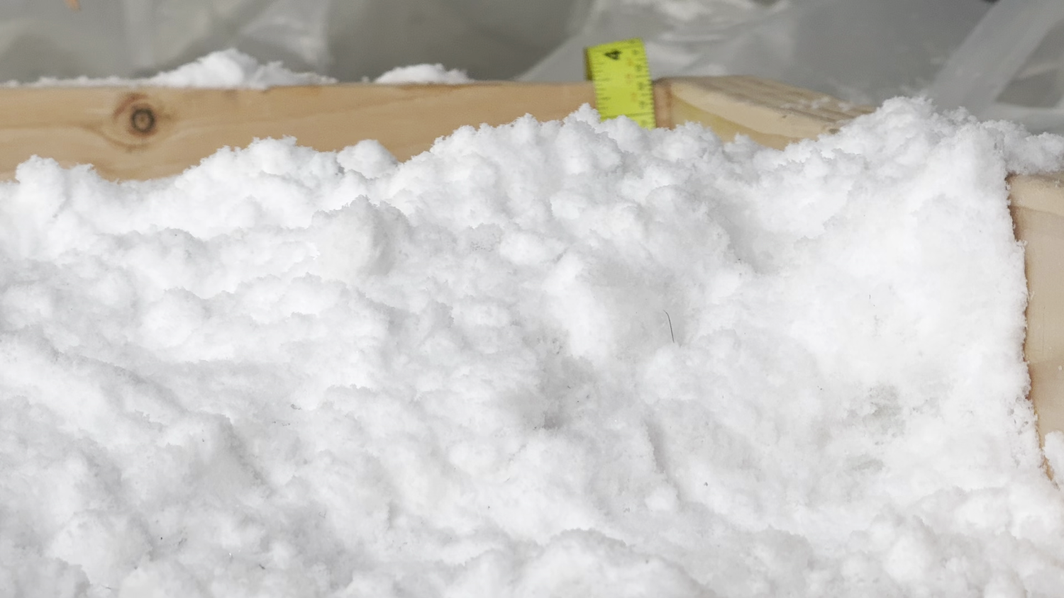 DendriticSnow3.png.webp