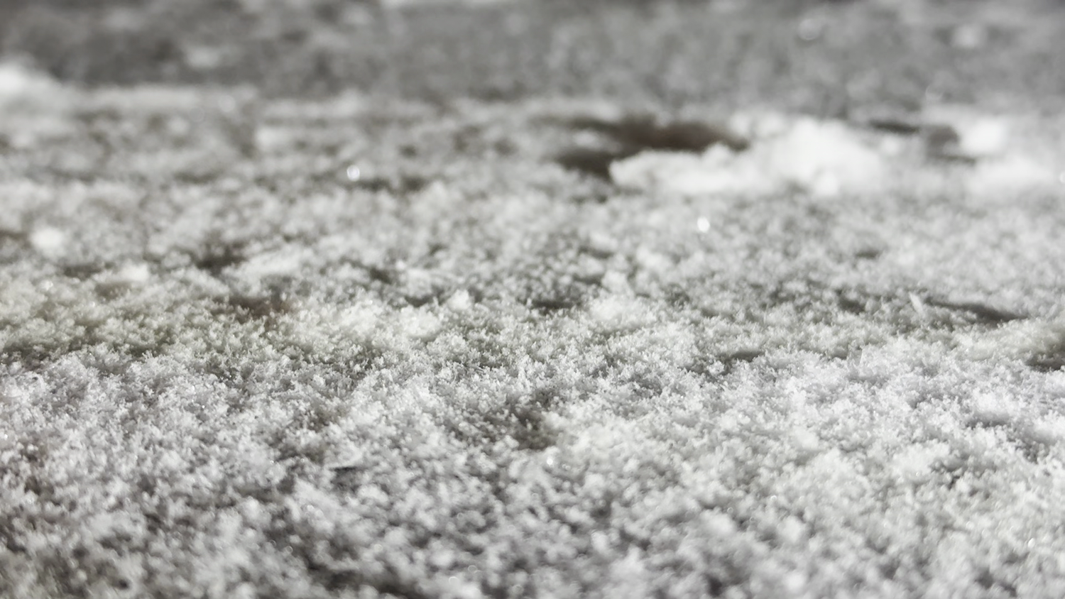 DendriticSnow2.png.webp
