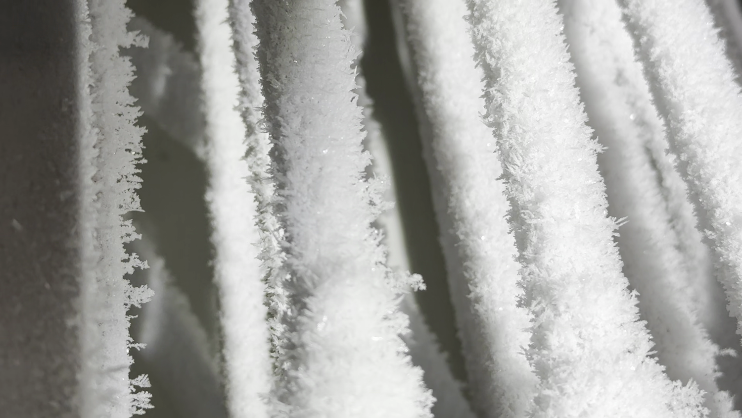 DendriticSnow1.png.webp