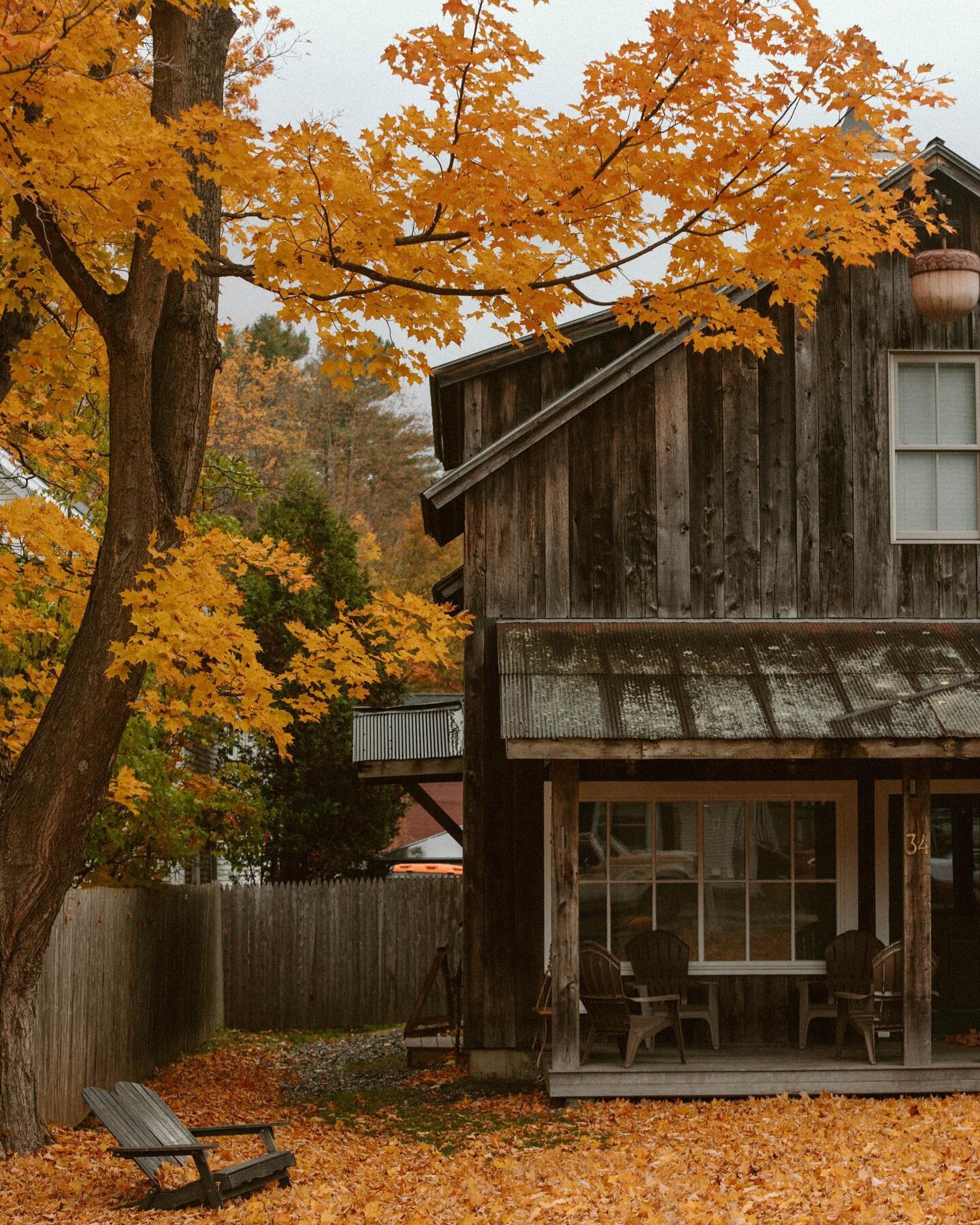 OCTOBER 🍂🎃 &mdash;

Spent the only way I dreamt of transitioning from summer to fall &hellip;. on the road, with my people, experiencing the best of the NE! I&rsquo;m so grateful ✨