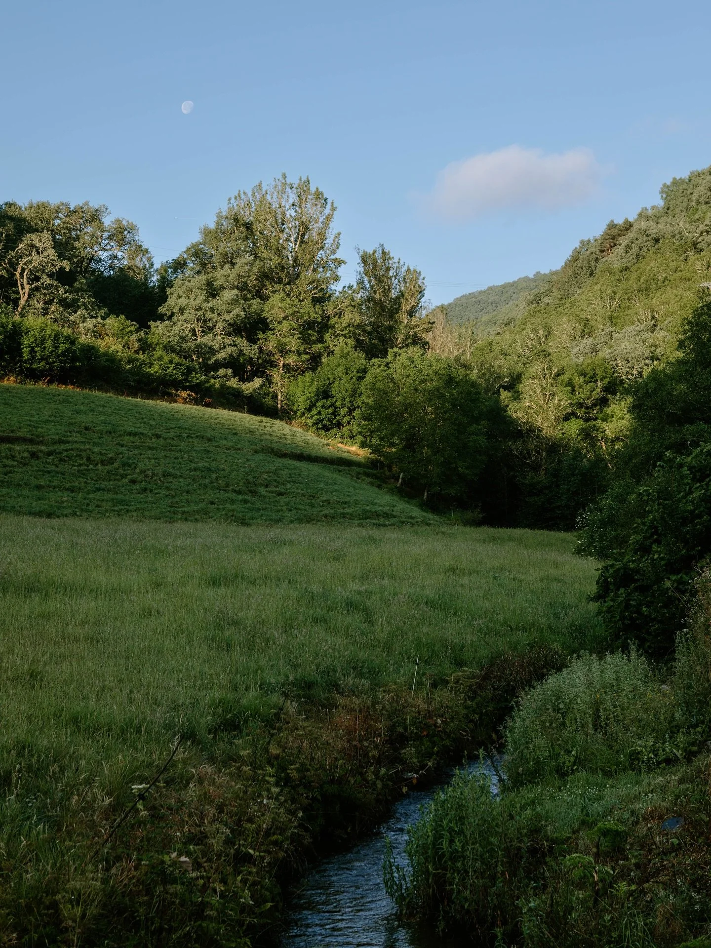Our days between El Acebo and Vega de Valcarce on the Camino de Santiago🏰🍒✨🐄🌼⛰️🌝
