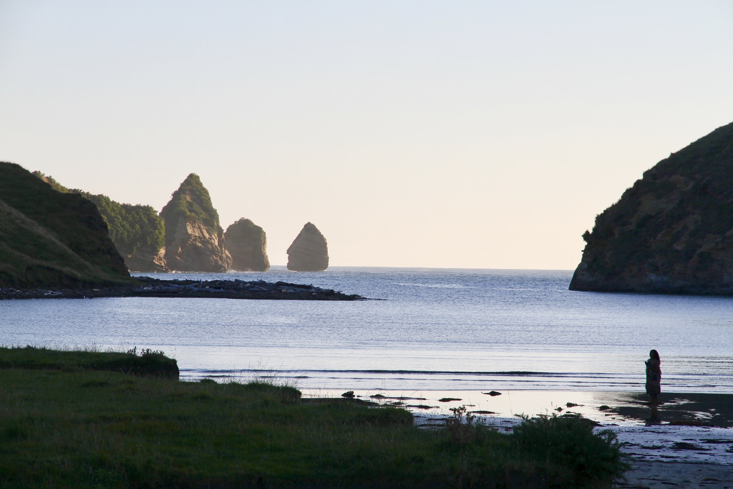 Te Ahikā | Te Koha Tuatahi