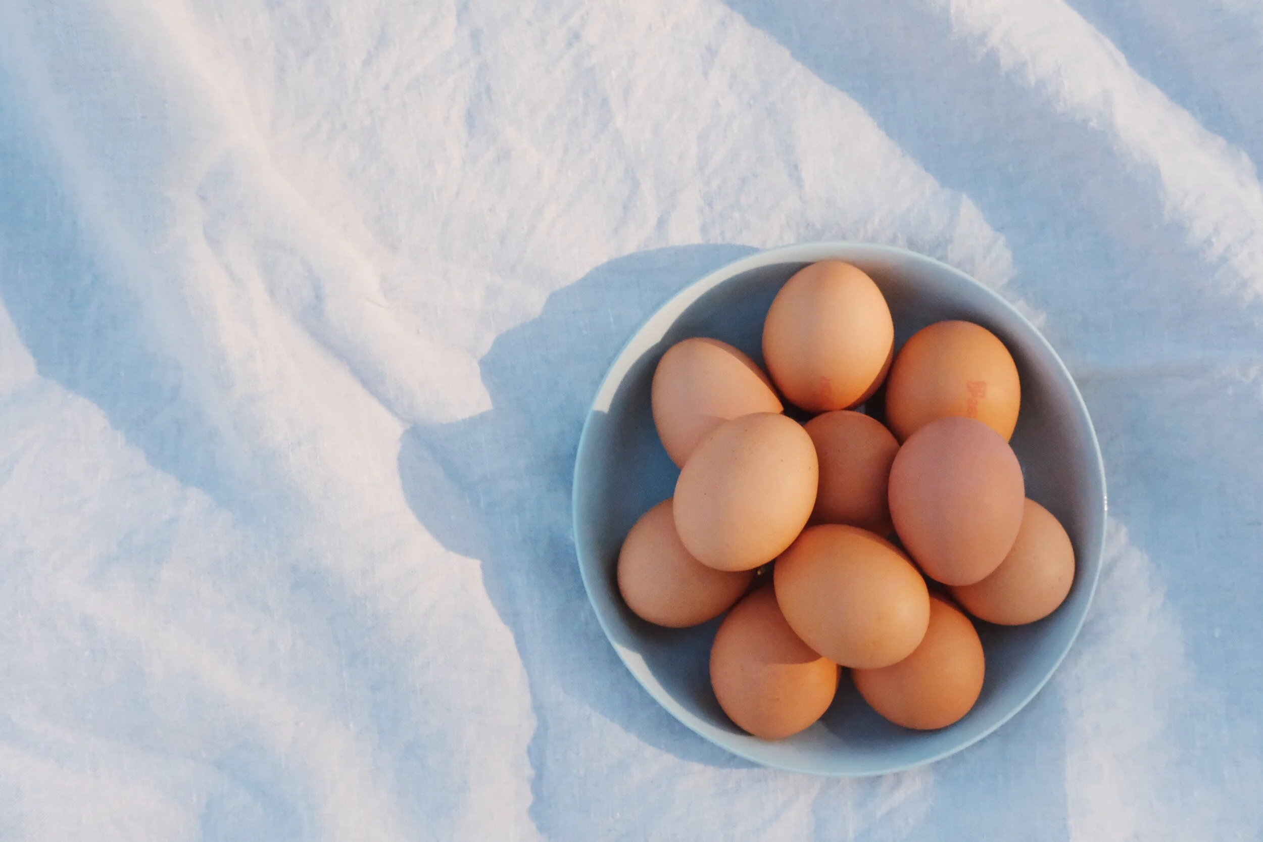 Egg Quality and GLP-1s: Why Weight Loss and Fertility Nutrition Are Two Different Stages