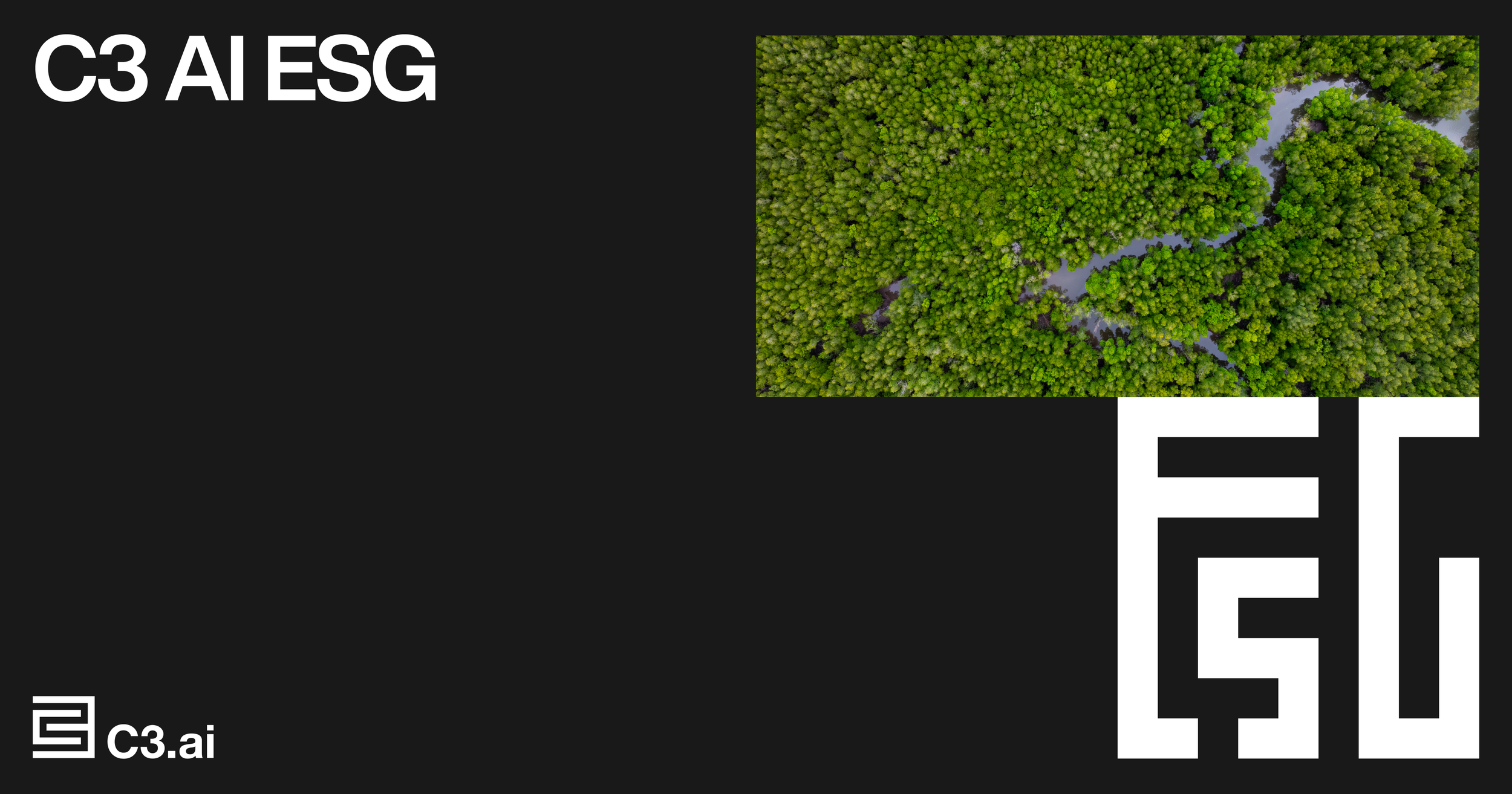 C3 AI ESG.png